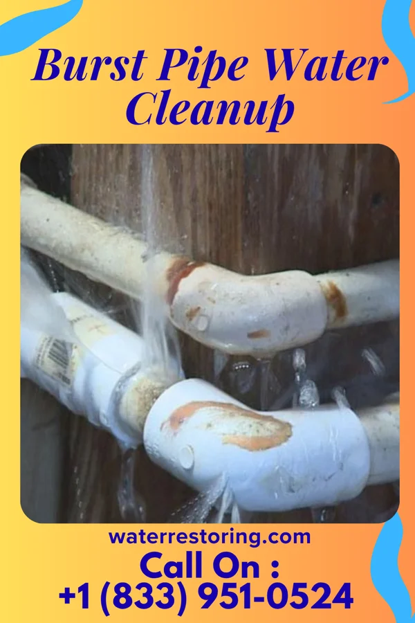Burst Pipe Water Cleanup in Plum City, WI