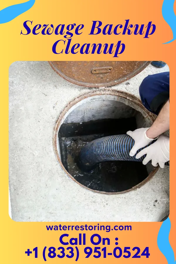 Sewage Backup Cleanup in Plum City, WI