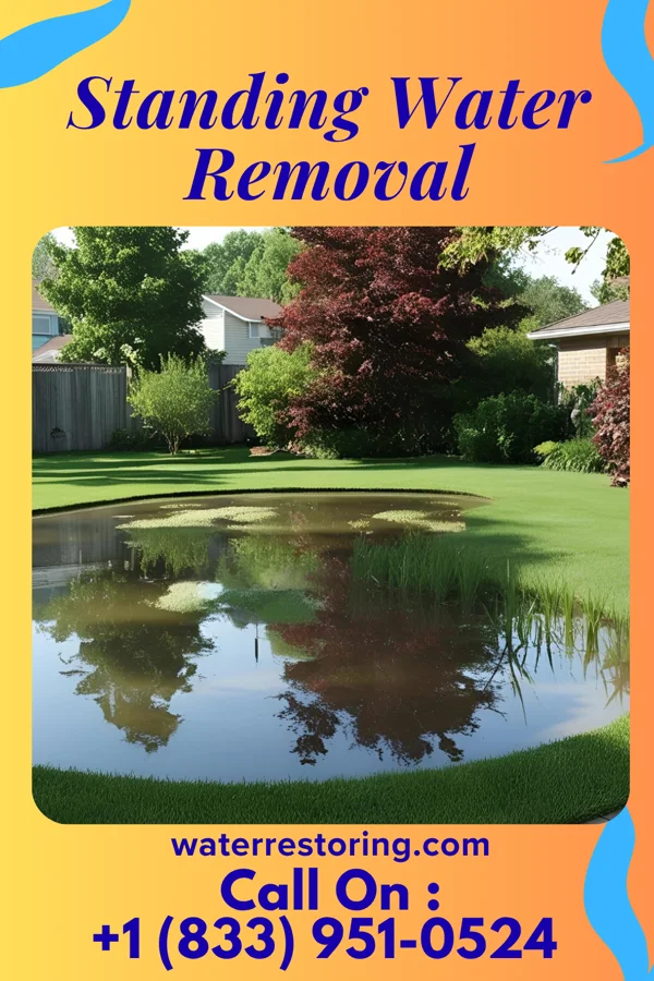 Standing Water Removal in Plum City, WI